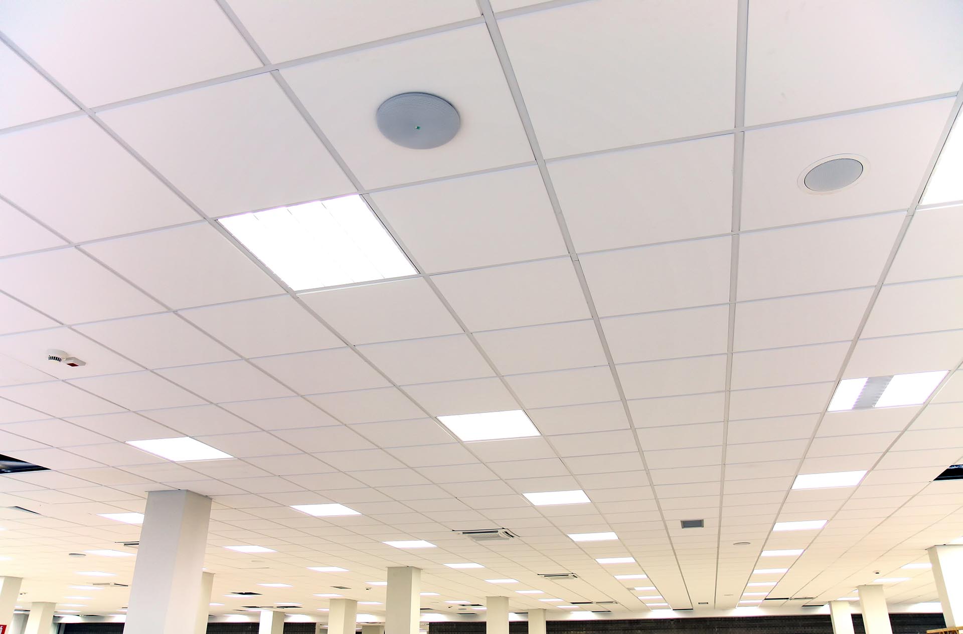 The ceiling of an office being sustainably lit with LED lighting